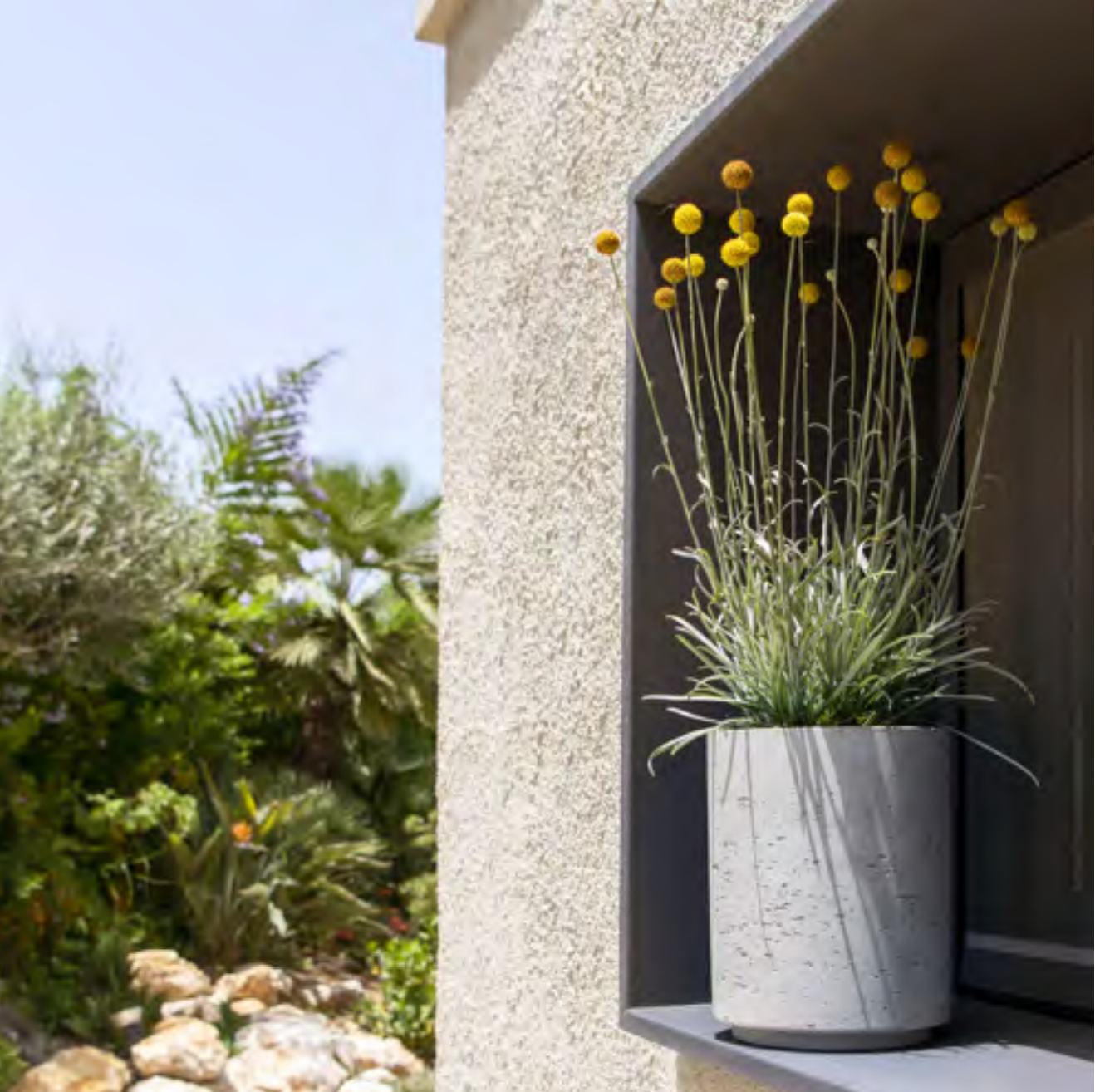 Washed Grey Cement Planter Pot- Round One Gallon 5.7" x 5.7"