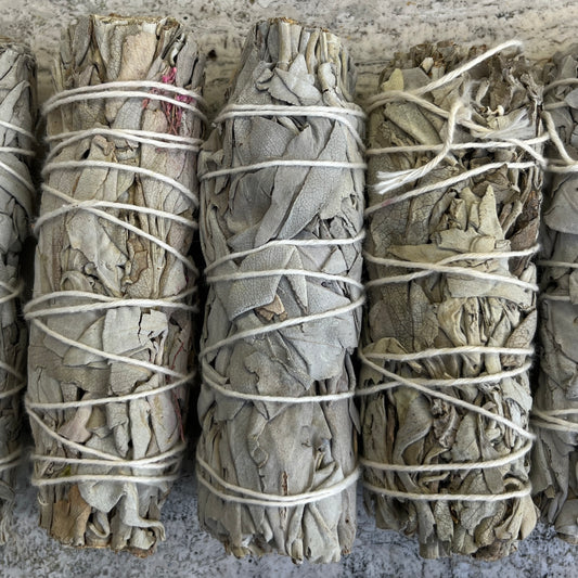 White Sage Bundle - Smudge Sticks