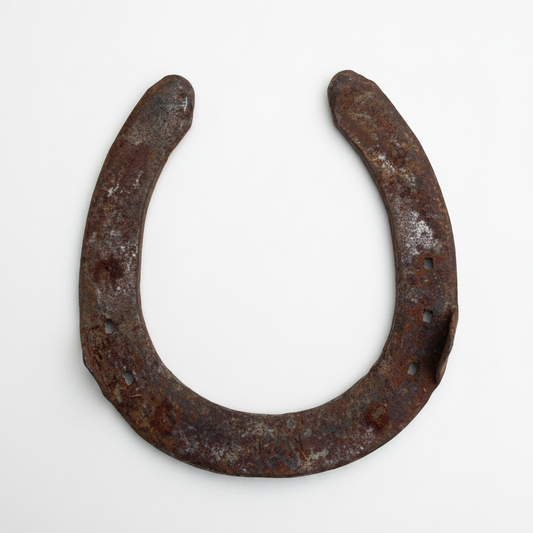 Horseshoe - Used