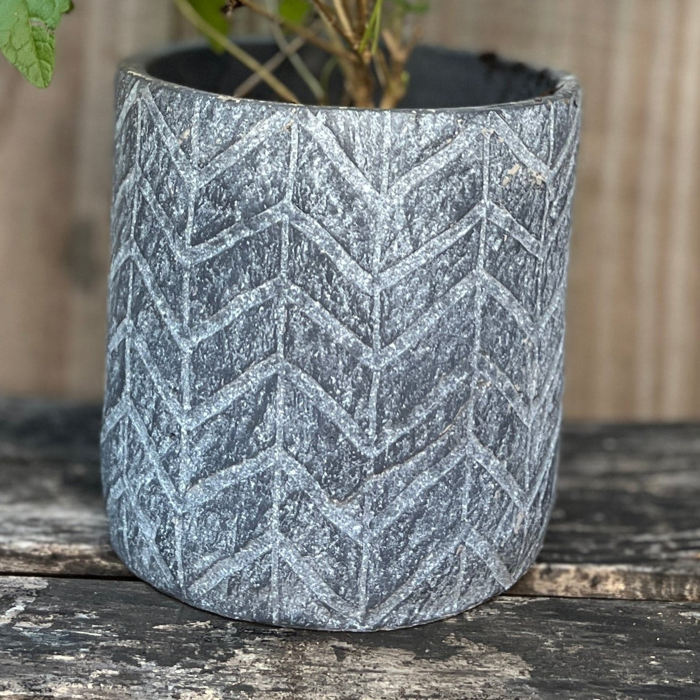 Charcoal Cement Planter Pot Round One Gallon 5.7" x 5.7"